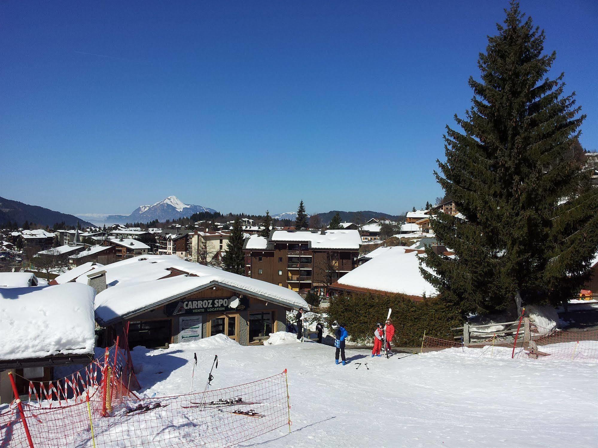 Hotel Chalet Les Airelles Les Carroz d'Araches Dış mekan fotoğraf
